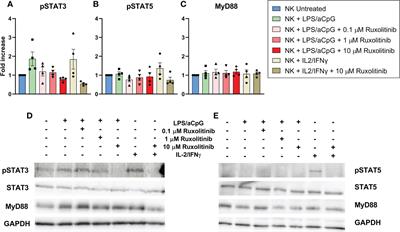 Frontiers in Immunology NK and Innate Lymphoid Cell Biology